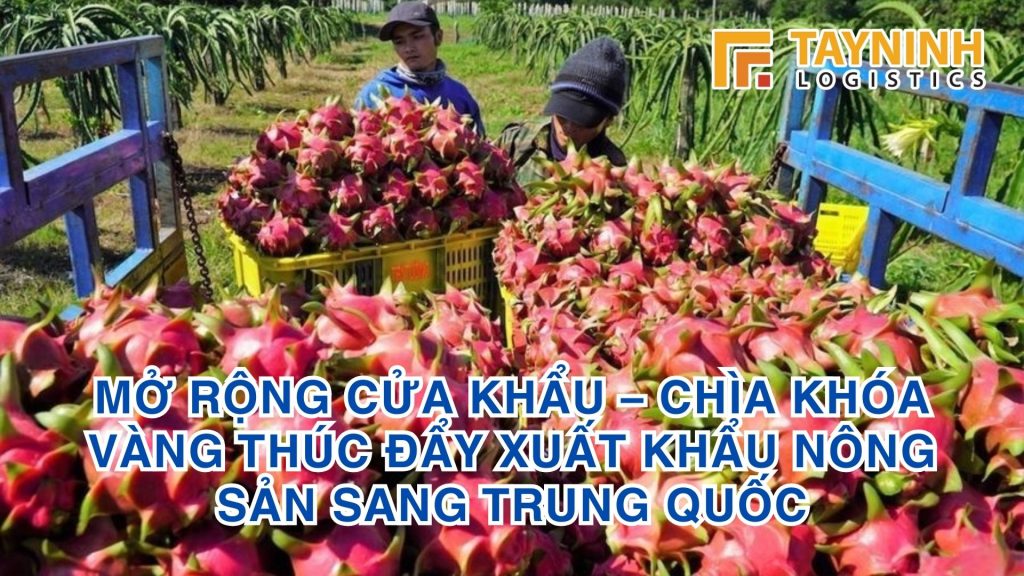 Mở rộng cửa khẩu – Chìa khóa vàng thúc đẩy xuất khẩu nông sản sang Trung Quốc