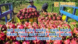 Mở rộng cửa khẩu – Chìa khóa vàng thúc đẩy xuất khẩu nông sản sang Trung Quốc