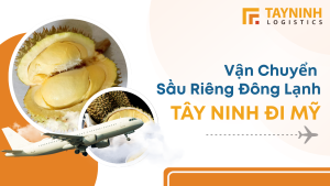 Vận chuyển sầu riêng đông lạnh từ Tây Ninh đi Đài Loan