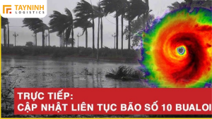 Bão Số 10 Bualoi: Cơn Bão Mạnh Đổ Bộ Vào Miền Trung