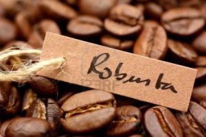Vận Chuyển Cà Phê Robusta Việt Sang Anh: Cơ Hội Vàng Cho Nông Sản Việt