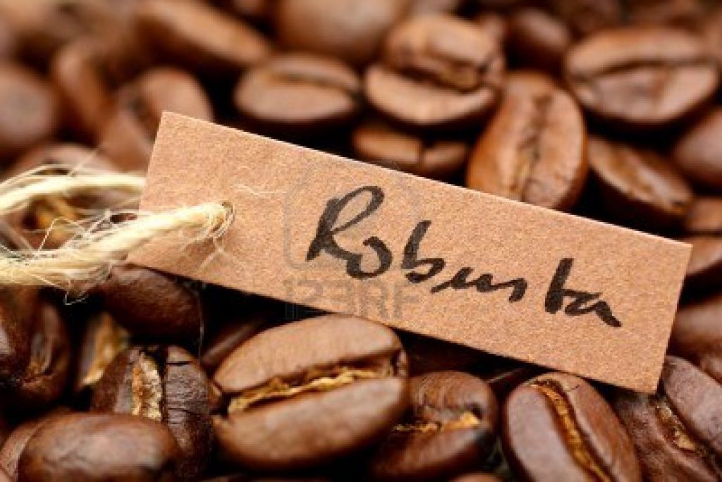 Vận Chuyển Cà Phê Robusta Việt Sang Anh: Cơ Hội Vàng Cho Nông Sản Việt