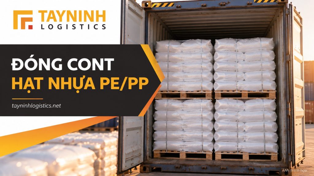 Đóng container hạt nhựa PE/PP xuất khẩu từ Tây Ninh – ảnh minh họa